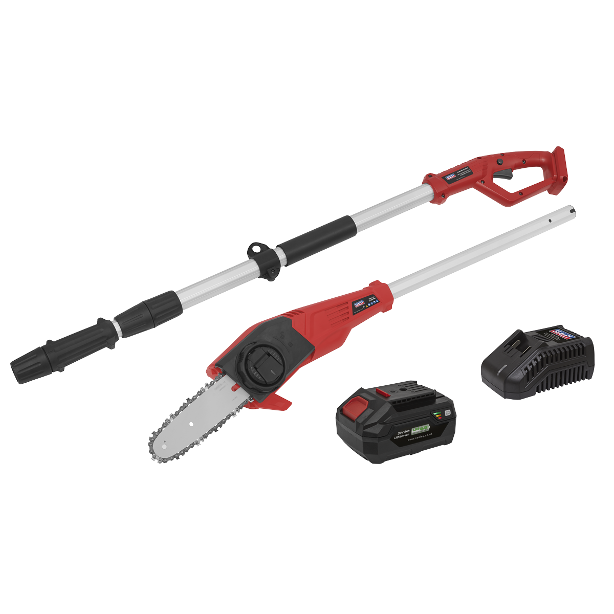 SV20 Series 20cm Cordless Telescopic Chainsaw Kit 20V 4Ah