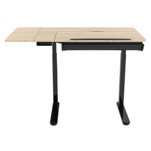 Dellonda Single Motor Ultra-Quiet Electric Adjustable Drawing Table with 40° Tilt, Drawer & Side Table