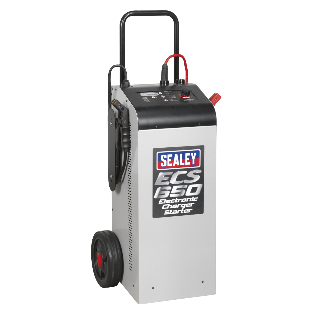 12/24V Electronic Charger Maintainer/Starter 100/650A