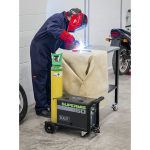 Professional Gas/Gasless MIG Welder 150A 230V