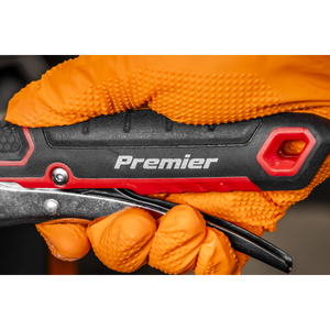 Premier Locking Adjustable Wrench 250mm