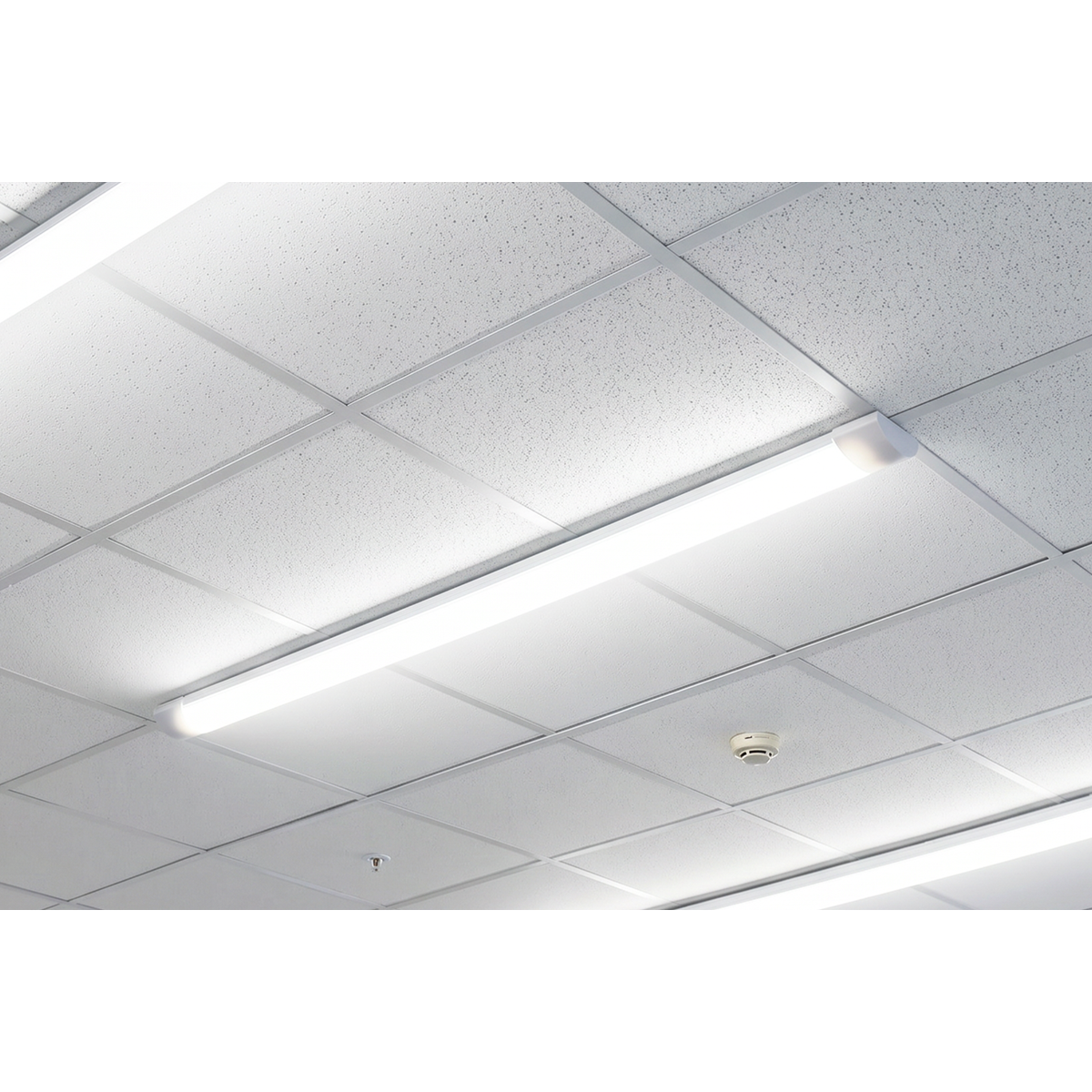 5ft LED Batten Light 50W 5500lm 230V (LED50BL)