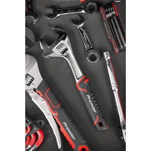 Premier Quick-Action Adjustable Wrench 200mm