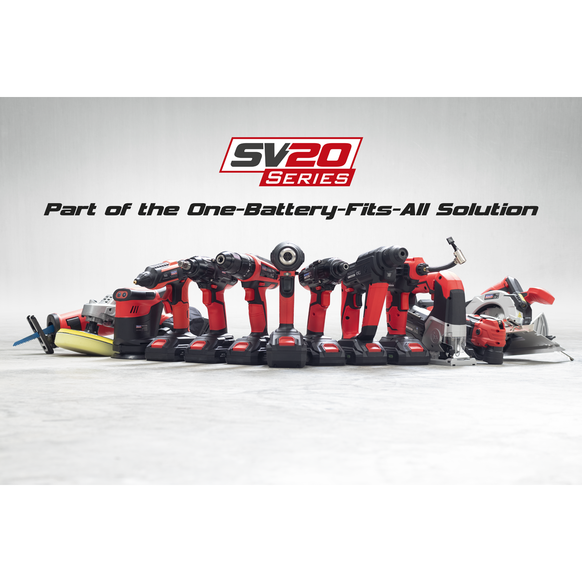 SV20 Series 25cm Cordless Chainsaw Kit 20V 4Ah - 2 Batteries