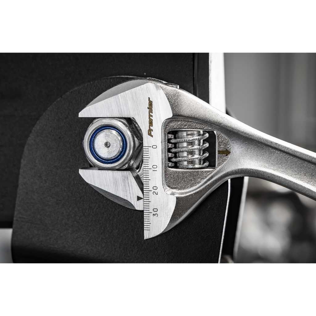 Premier Quick-Action Adjustable Wrench 250mm