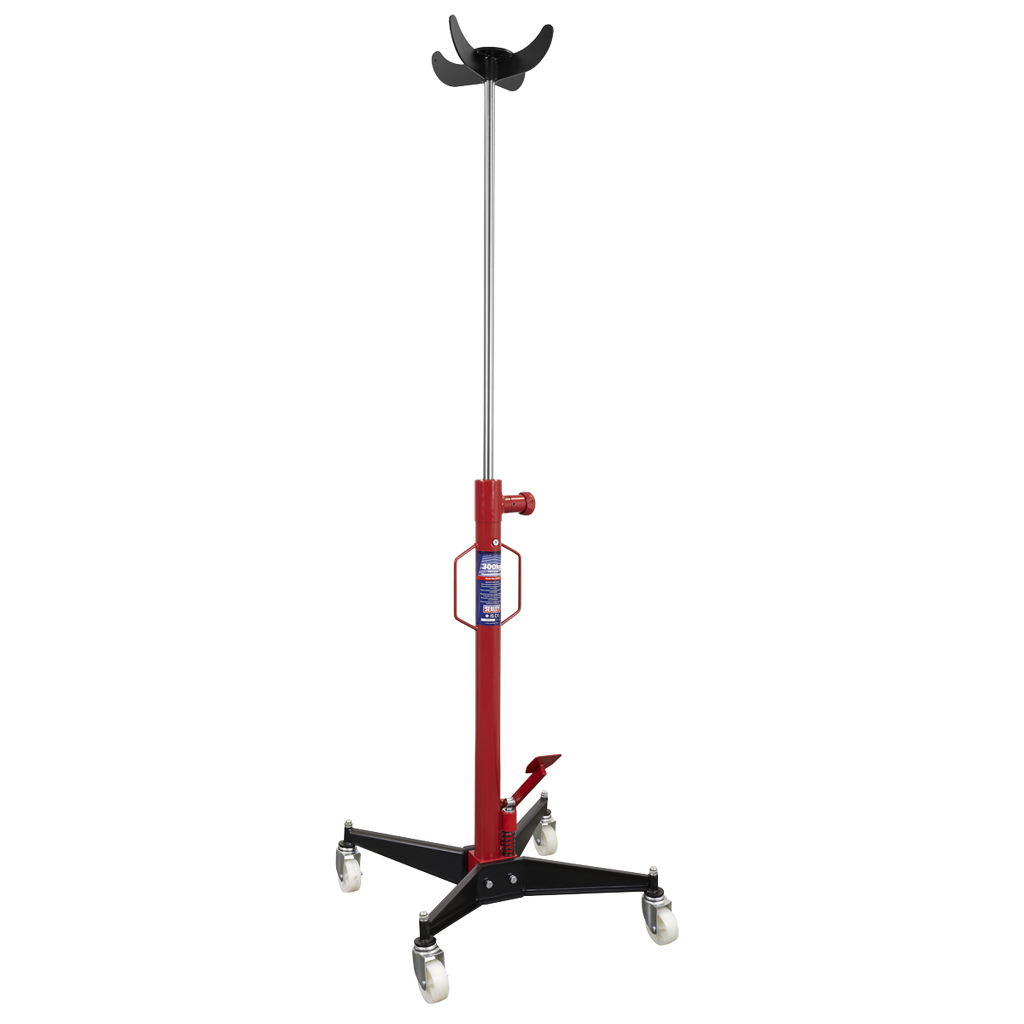 Vertical Transmission Jack 300kg