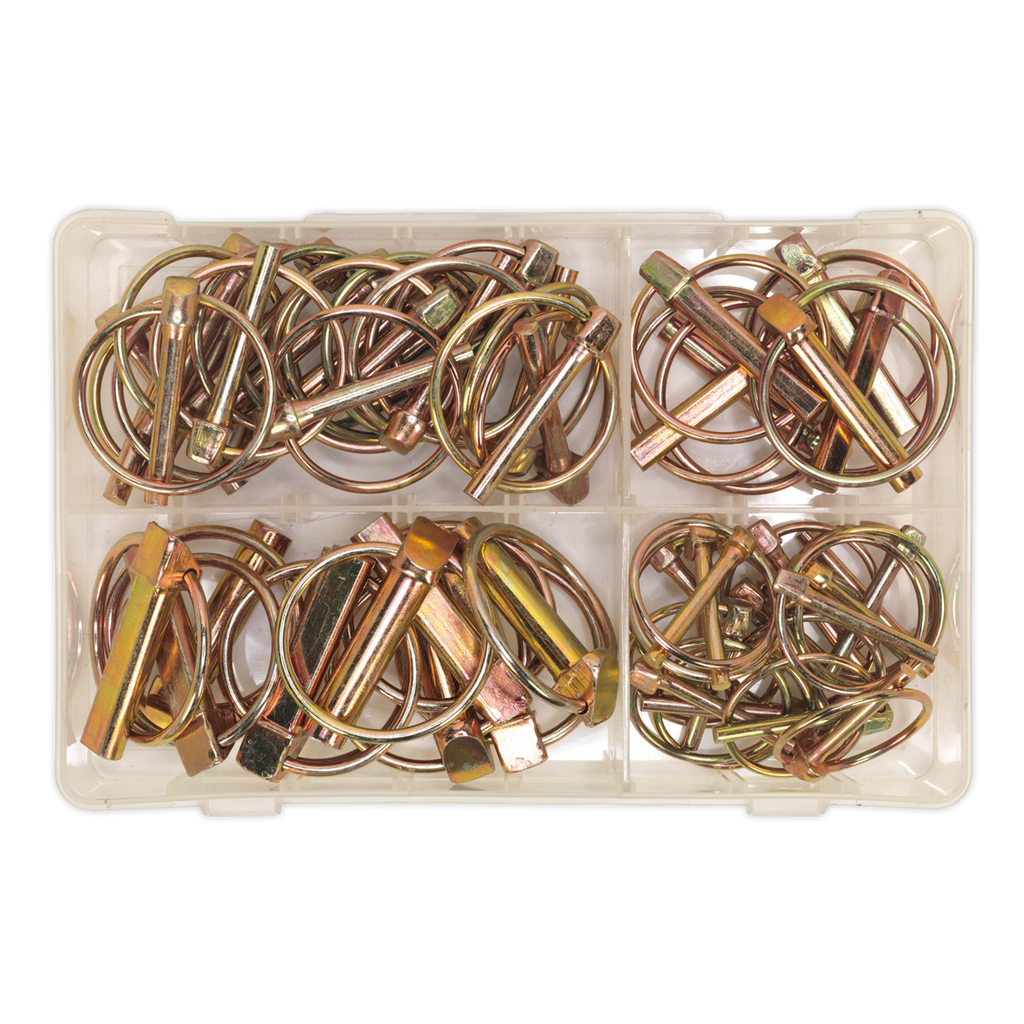 Linch Pin Assortment 50pc