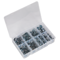 Mini Hose Clip Assortment 100pc