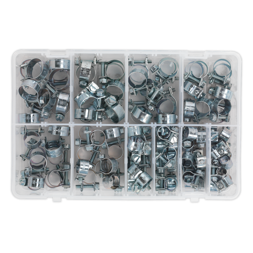 Mini Hose Clip Assortment 100pc
