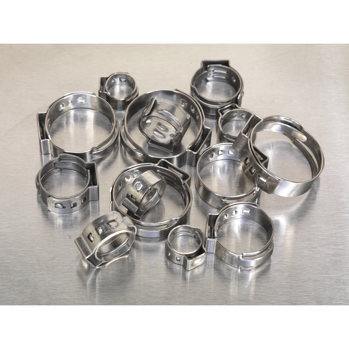 Stainless Steel O-Clip Single Ear Assortment 160pc