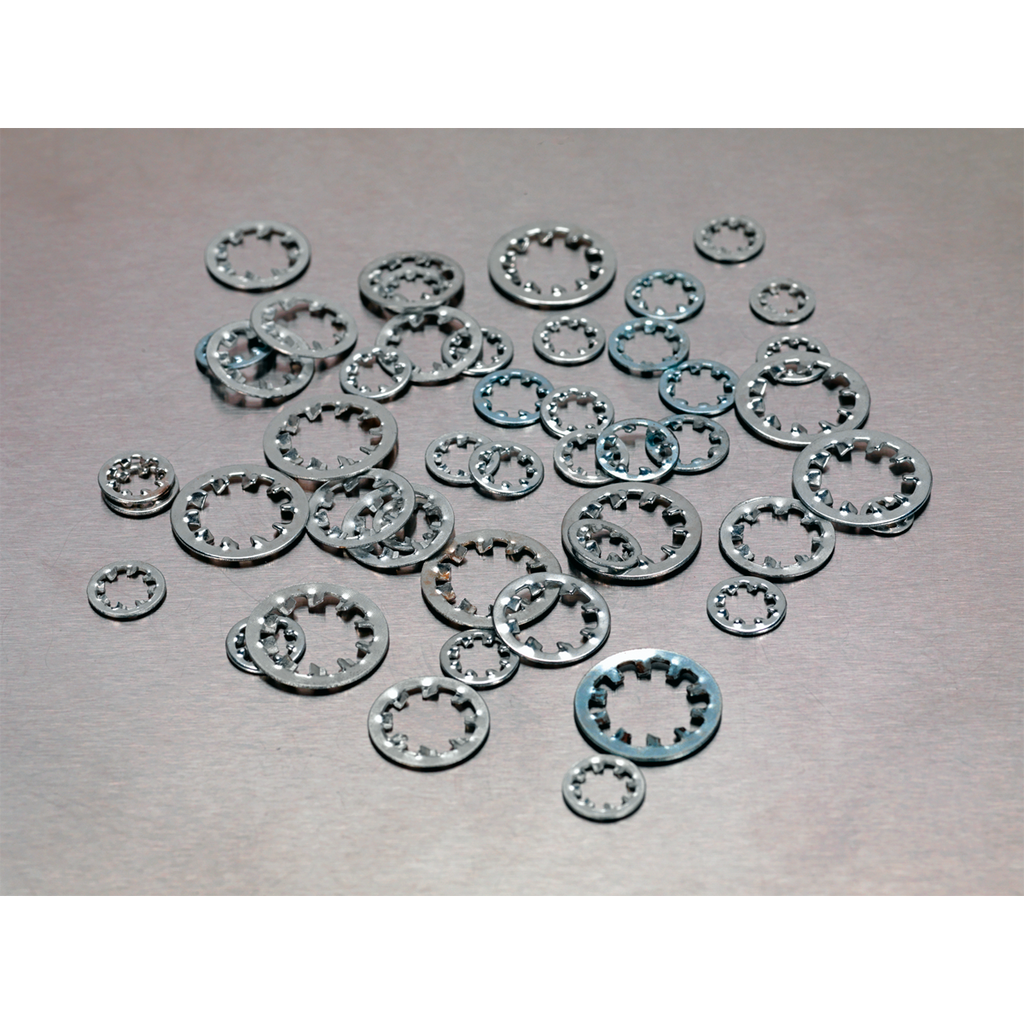 Internal Serrated Lock Washer Assortment M5-M10 1000pc