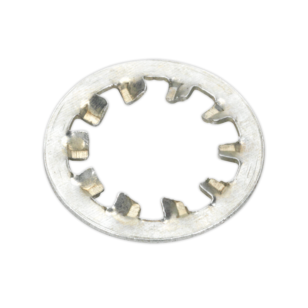 Internal Serrated Lock Washer Assortment M5-M10 1000pc