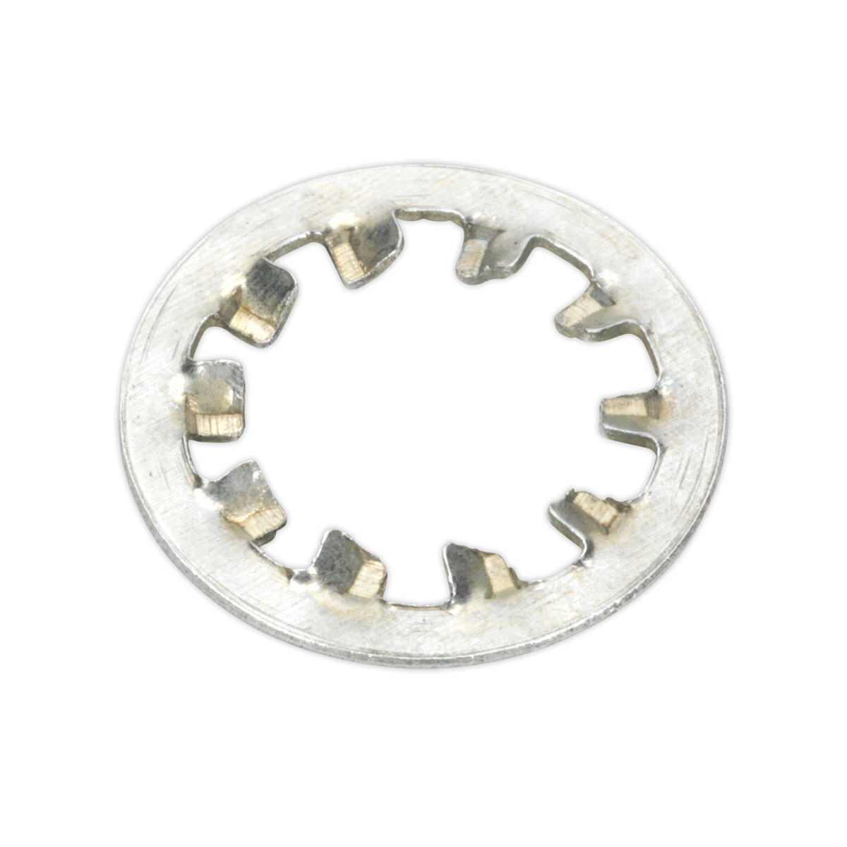 Internal Serrated Lock Washer Assortment M5-M10 1000pc