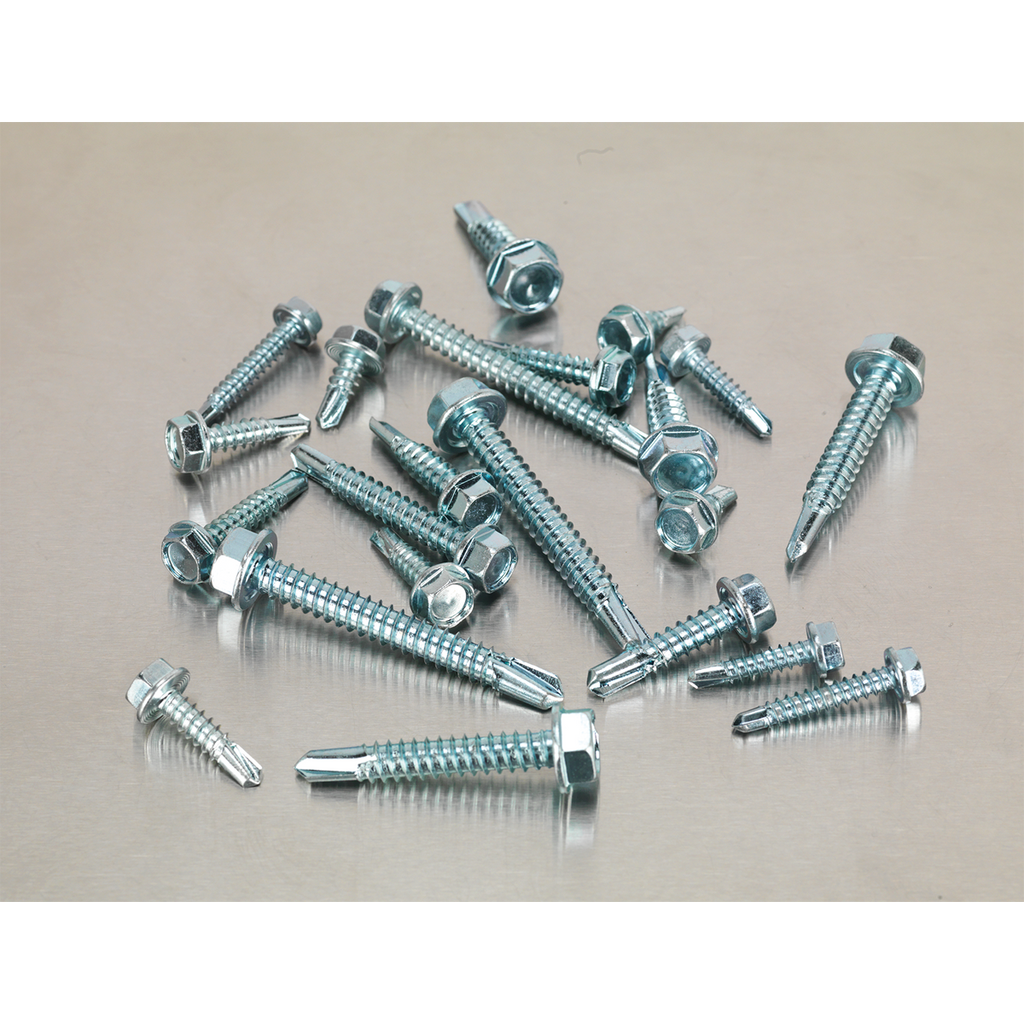Zinc Plated Self-Drilling Screw Assortment Hex Head 410pc