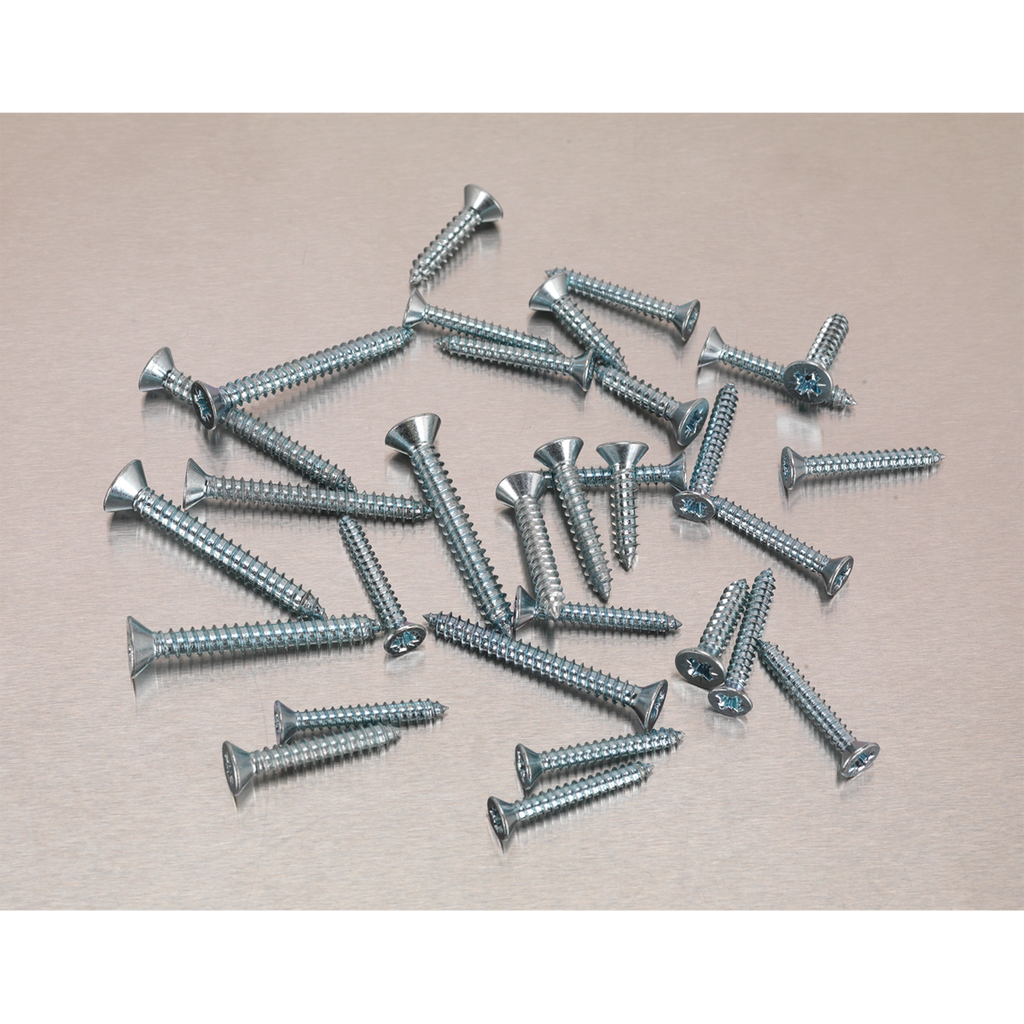 Zinc Plated Self-Tapping Countersunk Pozi Screw Assortment 5