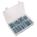 Zinc Plated Self-Tapping Pan Head Pozi Screw Assortment 700p