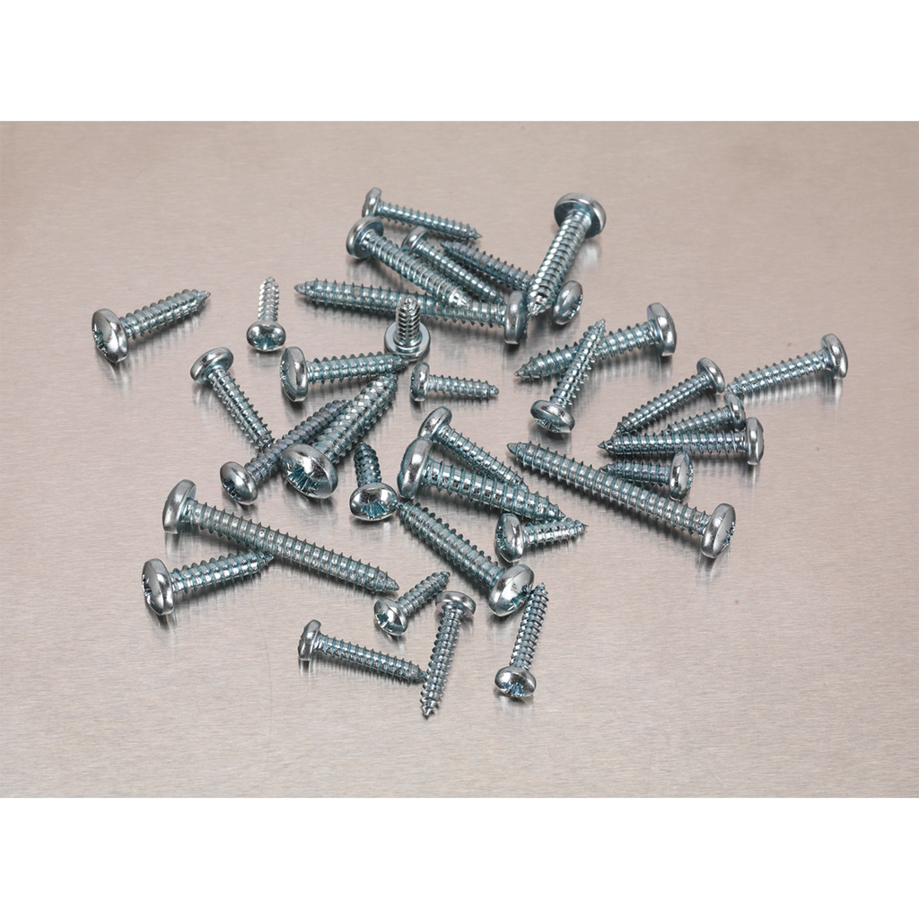 Zinc Plated Self-Tapping Pan Head Pozi Screw Assortment 700p