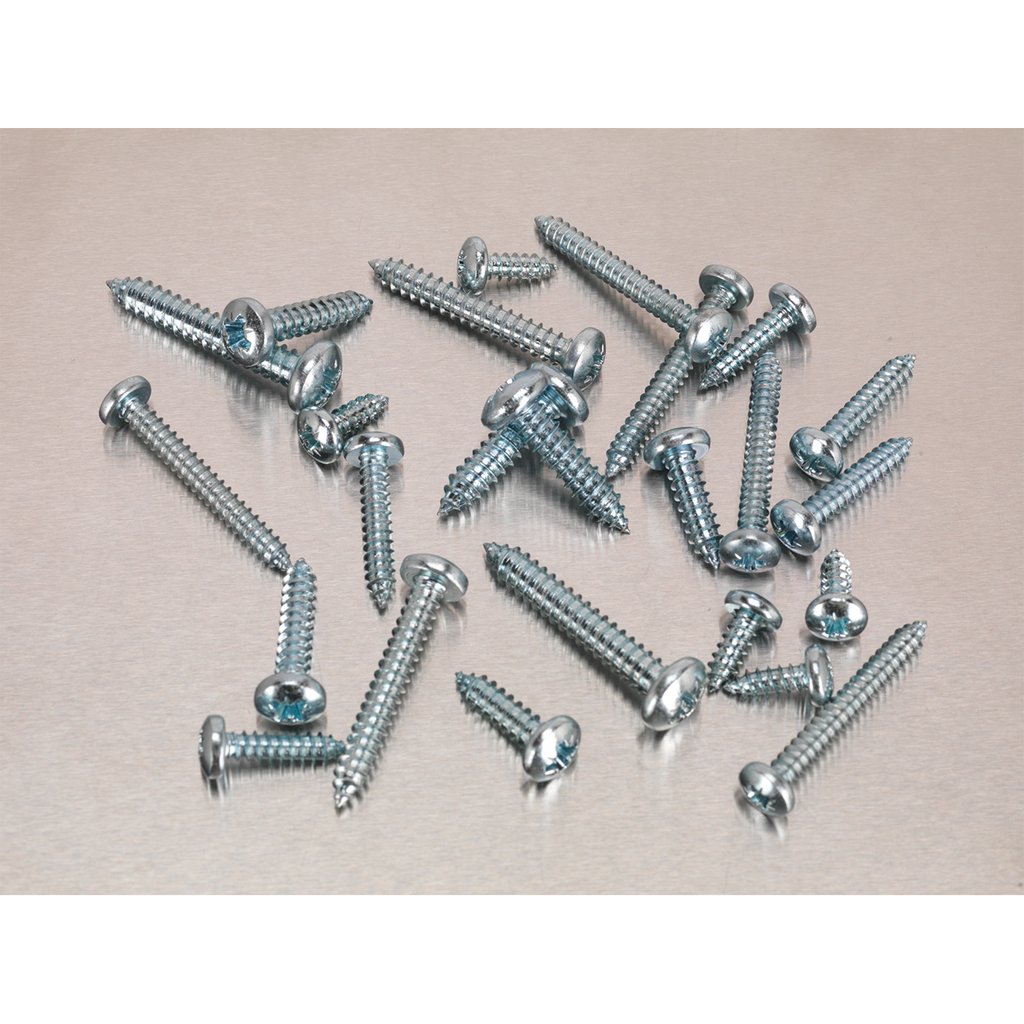 Zinc Plated Self-Tapping Pan Head Pozi Screw Assortment 305p