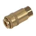 PCL Non-Corrodible Coupling Body Female 1/4"BSPT