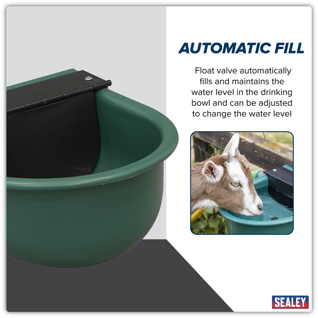Automatic Cattle Drinking Bowl 4L