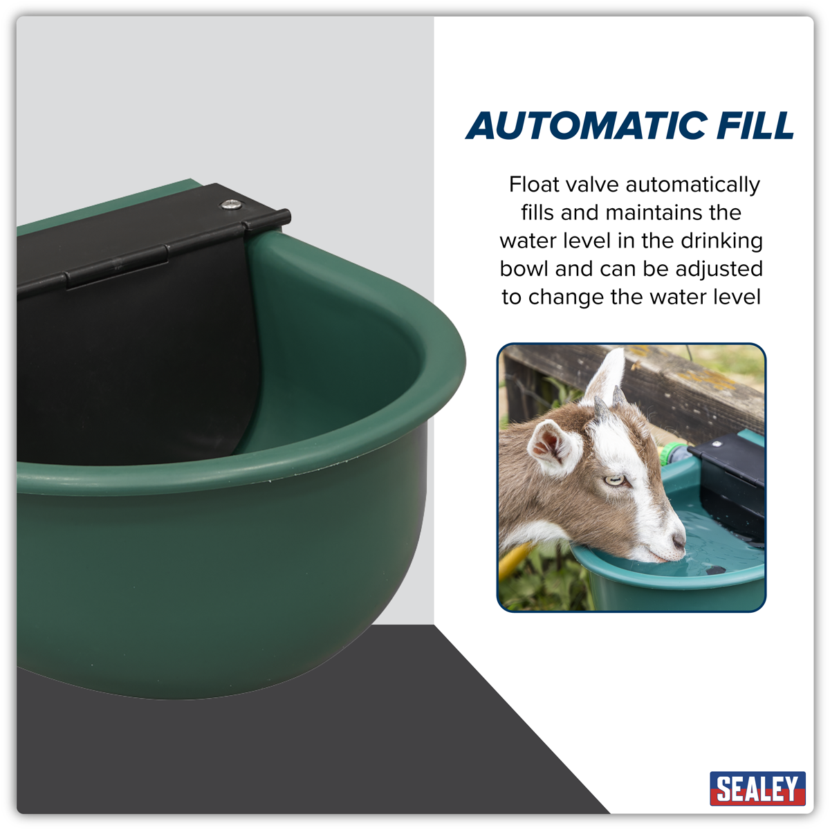 Automatic Cattle Drinking Bowl 4L
