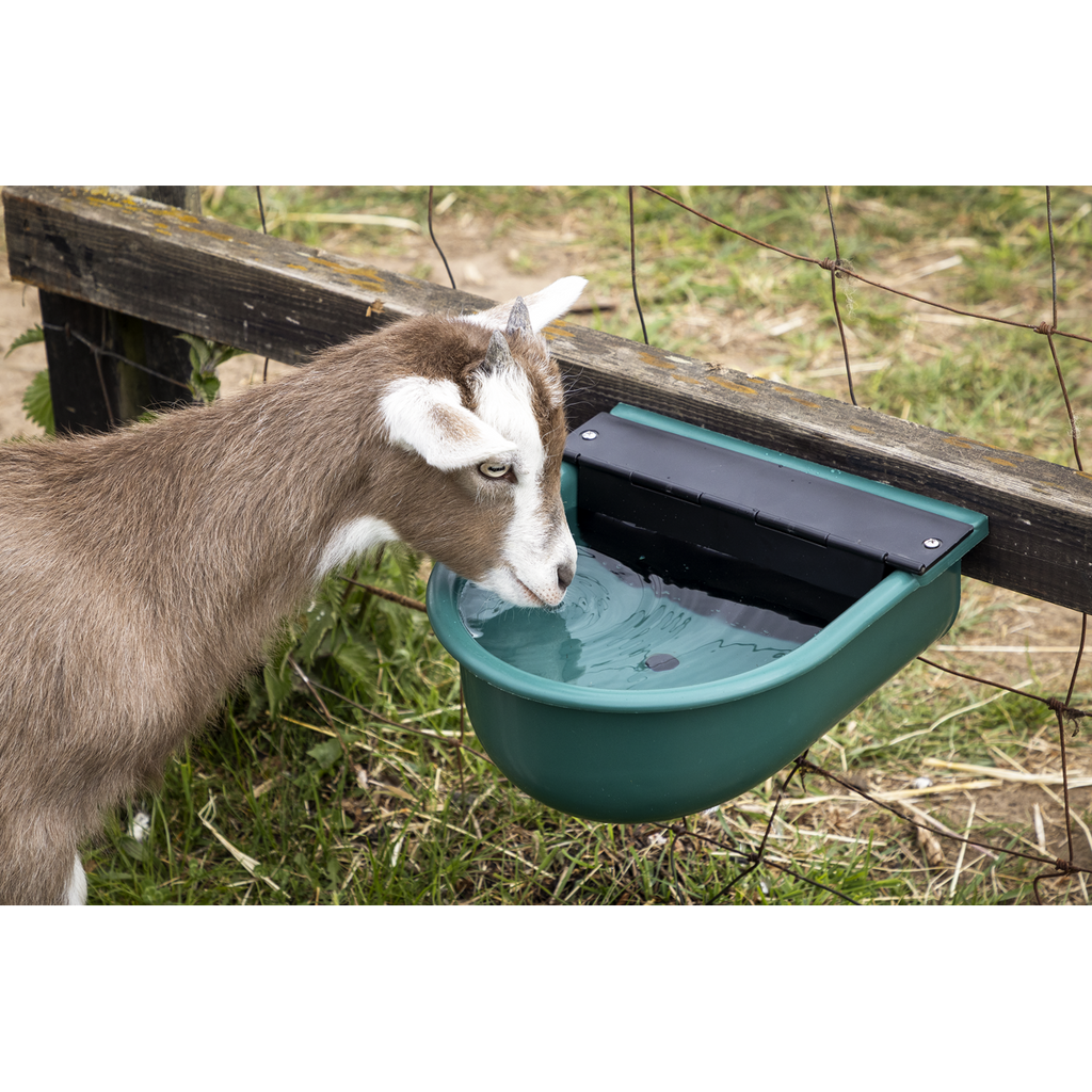 Automatic Cattle Drinking Bowl 4L