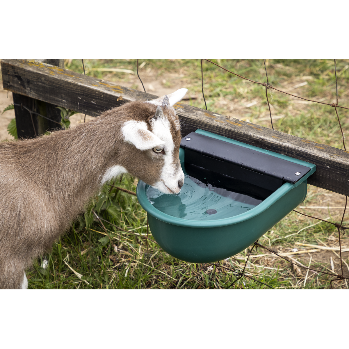 Automatic Cattle Drinking Bowl 4L