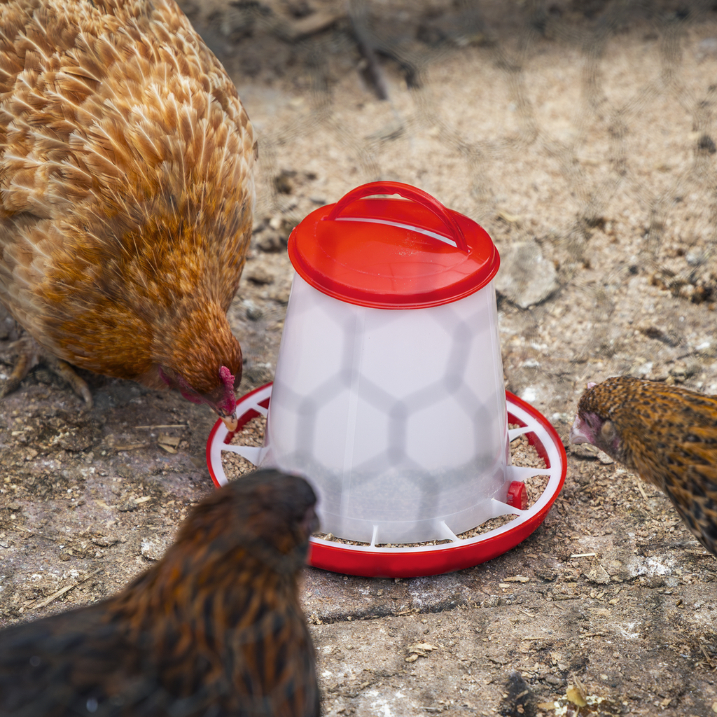 Poultry Feeder 1.5kg