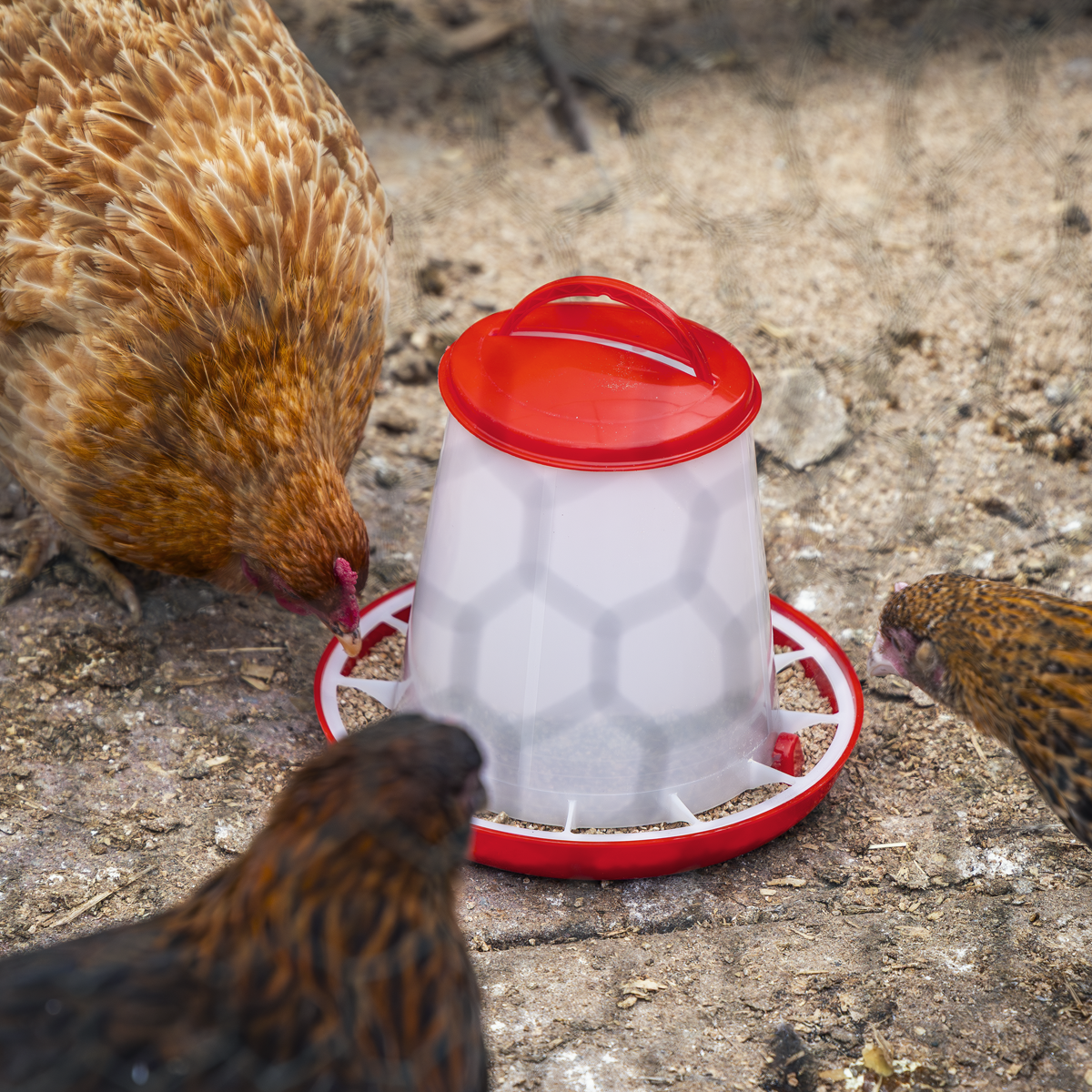 Poultry Feeder 1.5kg