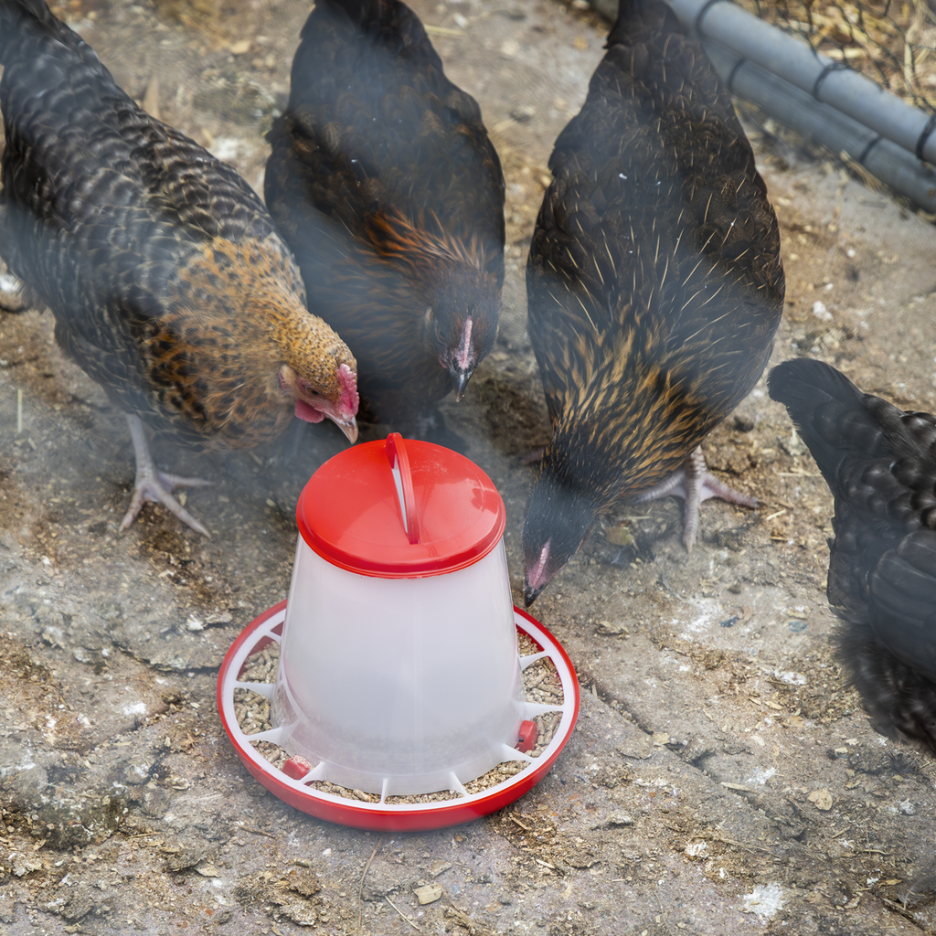 Poultry Feeder 1.5kg