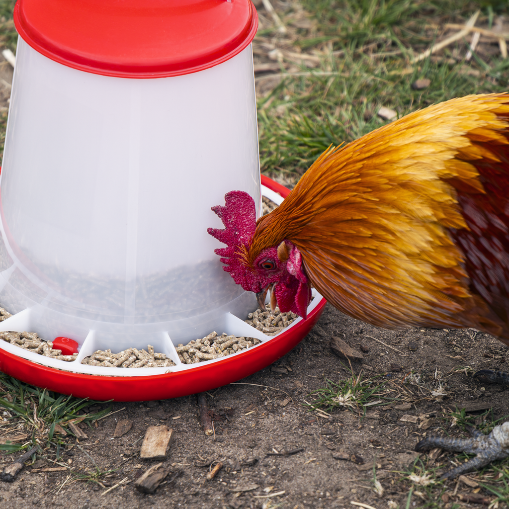 Poultry Feeder 3kg