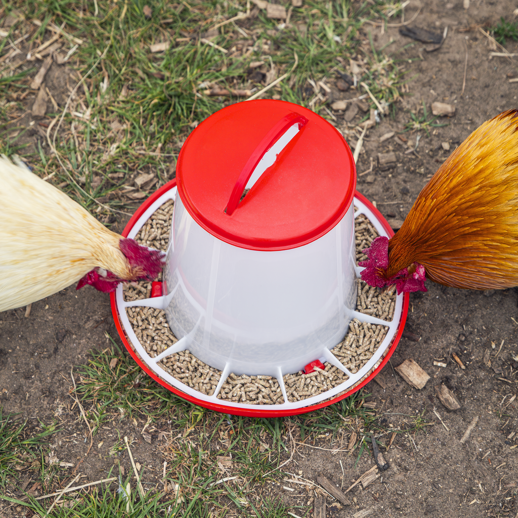 Poultry Feeder 3kg