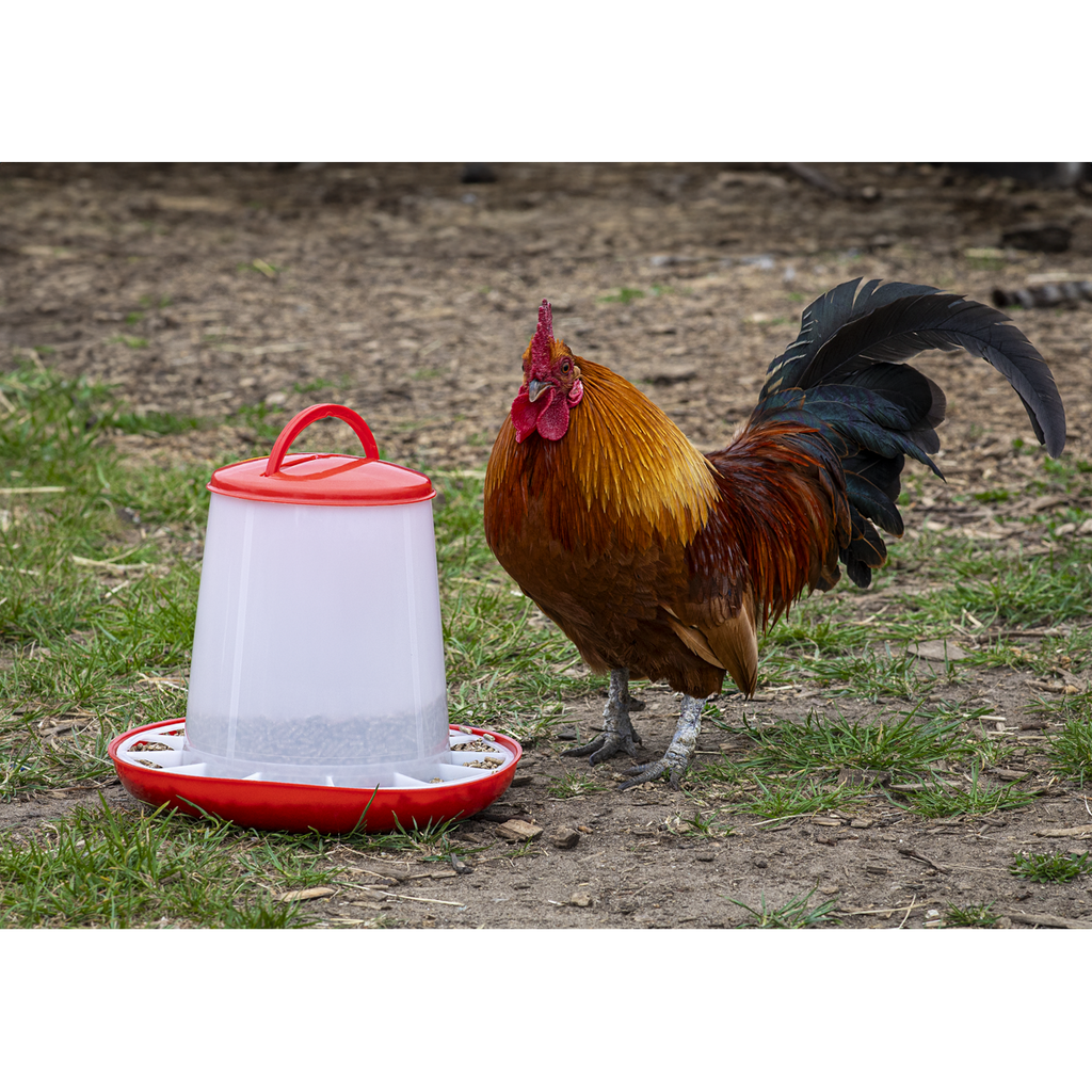 Poultry Feeder 3kg