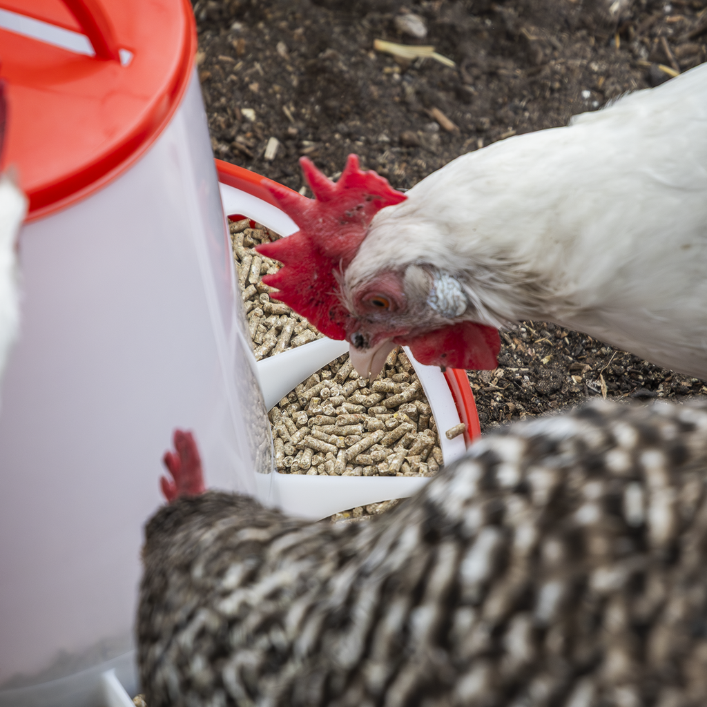 Poultry Feeder 6kg