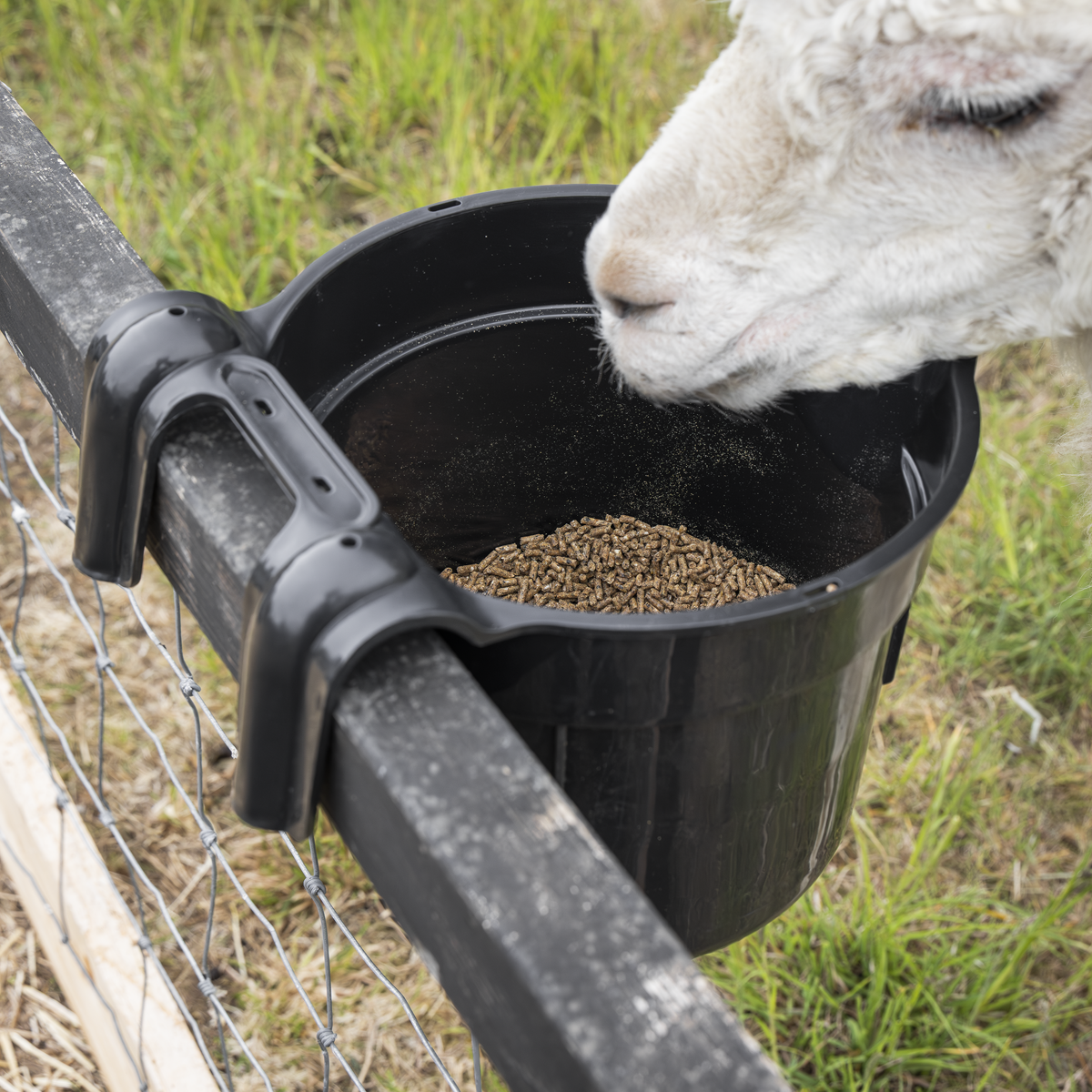 Hook-Over Feeder 7L