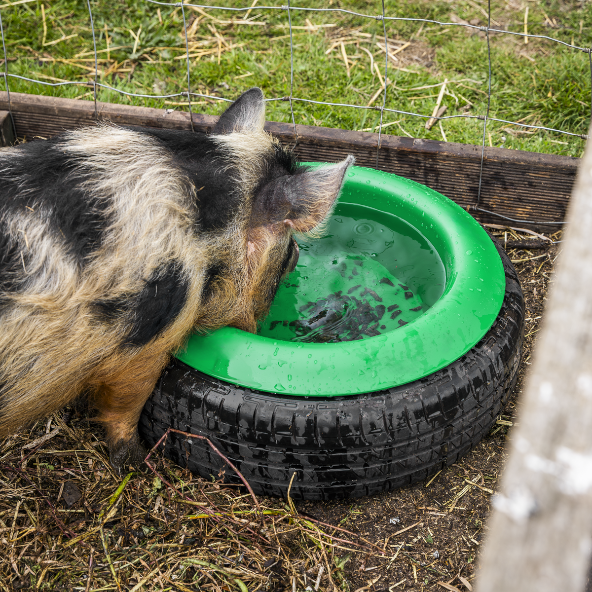 Tyre Feed Bowl 15L