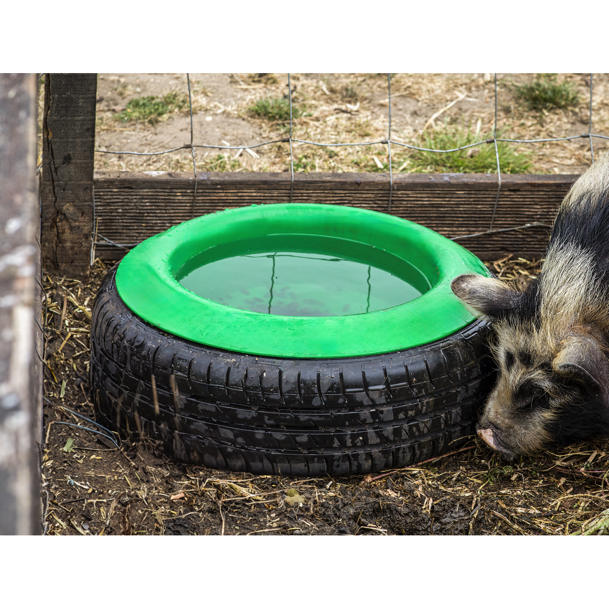 Tyre Feed Bowl 15L