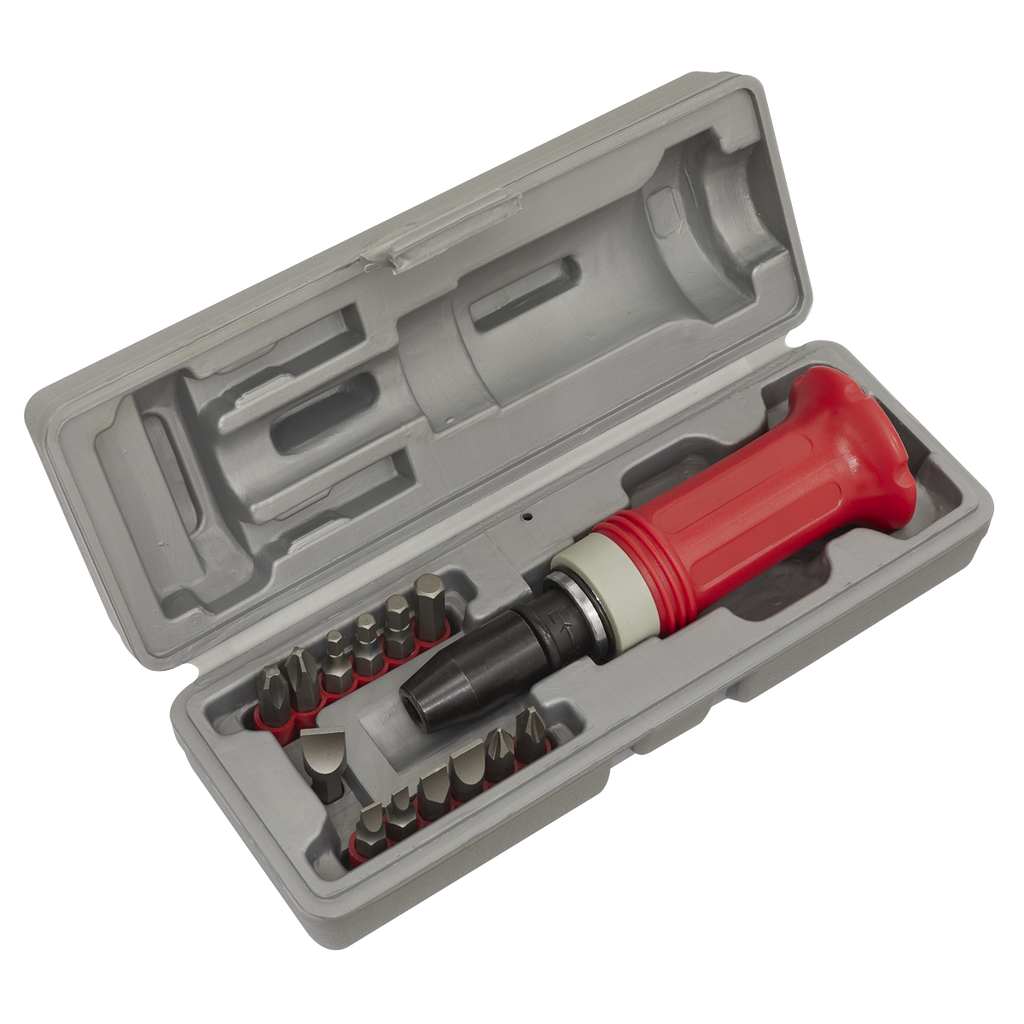 Premier Impact Driver Set with Protection Grip 15pc