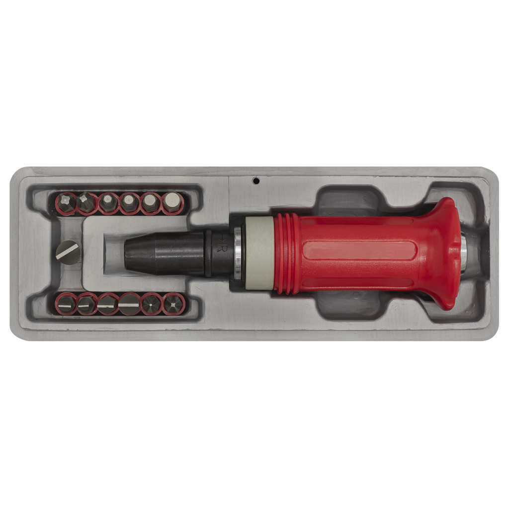 Premier Impact Driver Set with Protection Grip 15pc