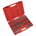 Hex Socket Bit Set 30pc 1/2"Sq Drive