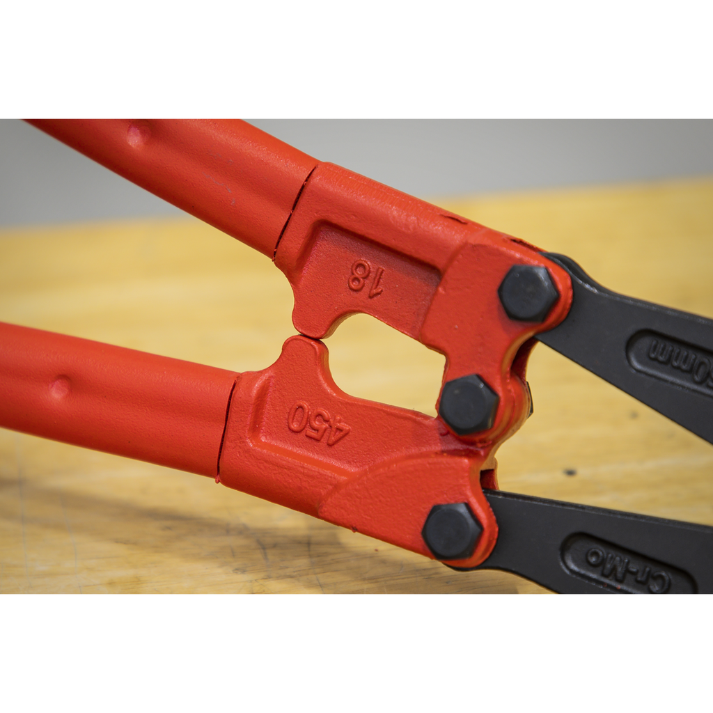 Premier Bolt Cutters 450mm 8mm Capacity