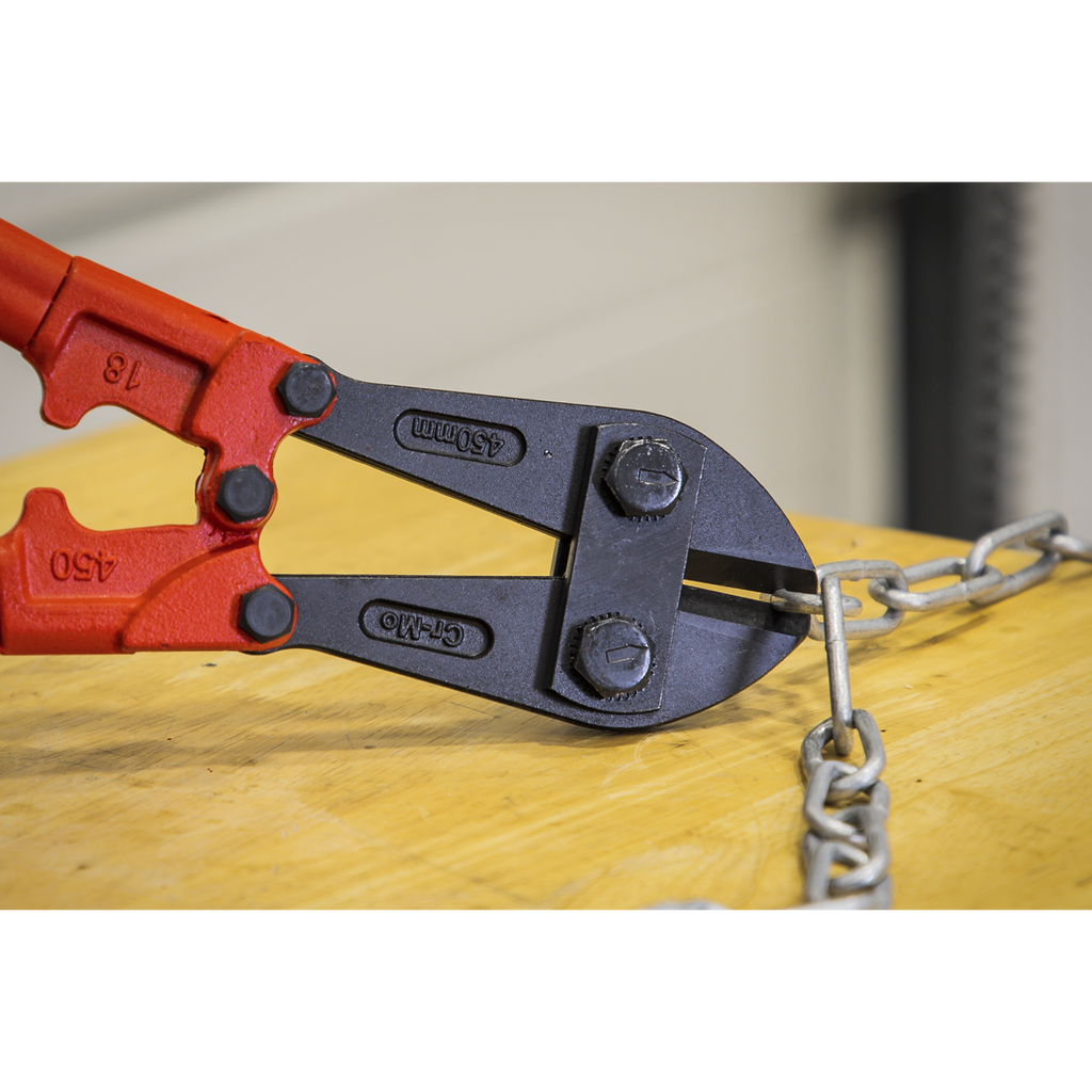 Premier Bolt Cutters 450mm 8mm Capacity