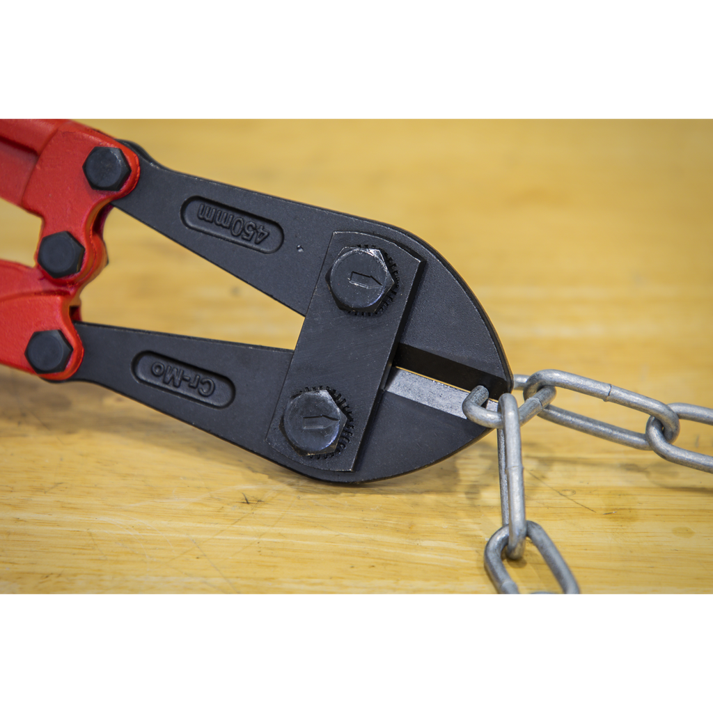 Premier Bolt Cutters 450mm 8mm Capacity