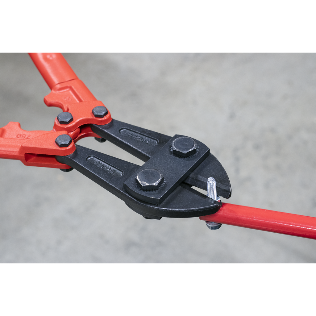 Premier Bolt Cutters 750mm 13mm Capacity