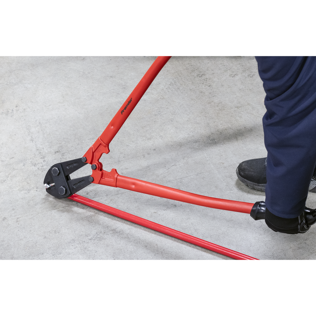 Premier Bolt Cutters 750mm 13mm Capacity