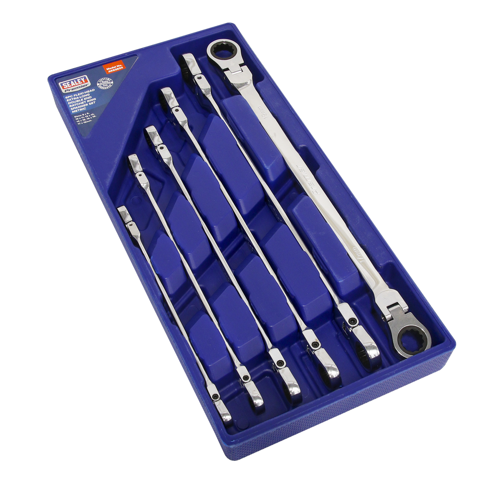 Premier Extra-Long Flexi-Head Double End Ratchet Ring Spanne