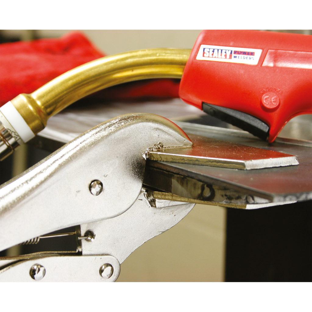 Premier C-Clamp & Welding Clamp Set 3pc