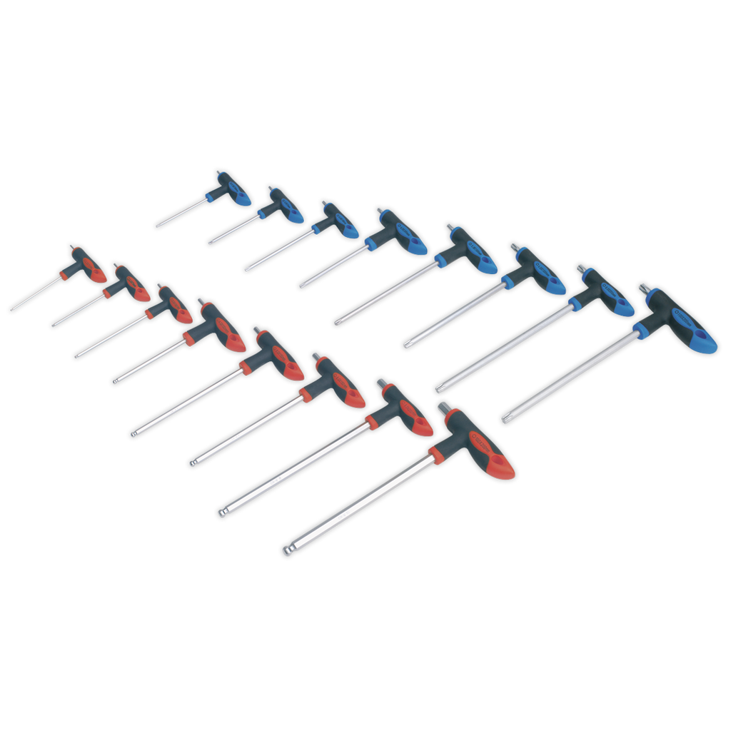 Premier T-Handle TRX-Star* & Hex Key Set 16pc