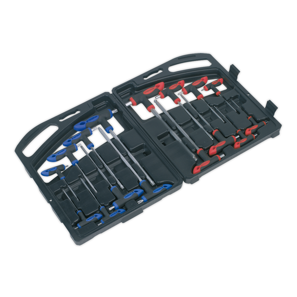 Premier T-Handle TRX-Star* & Hex Key Set 16pc
