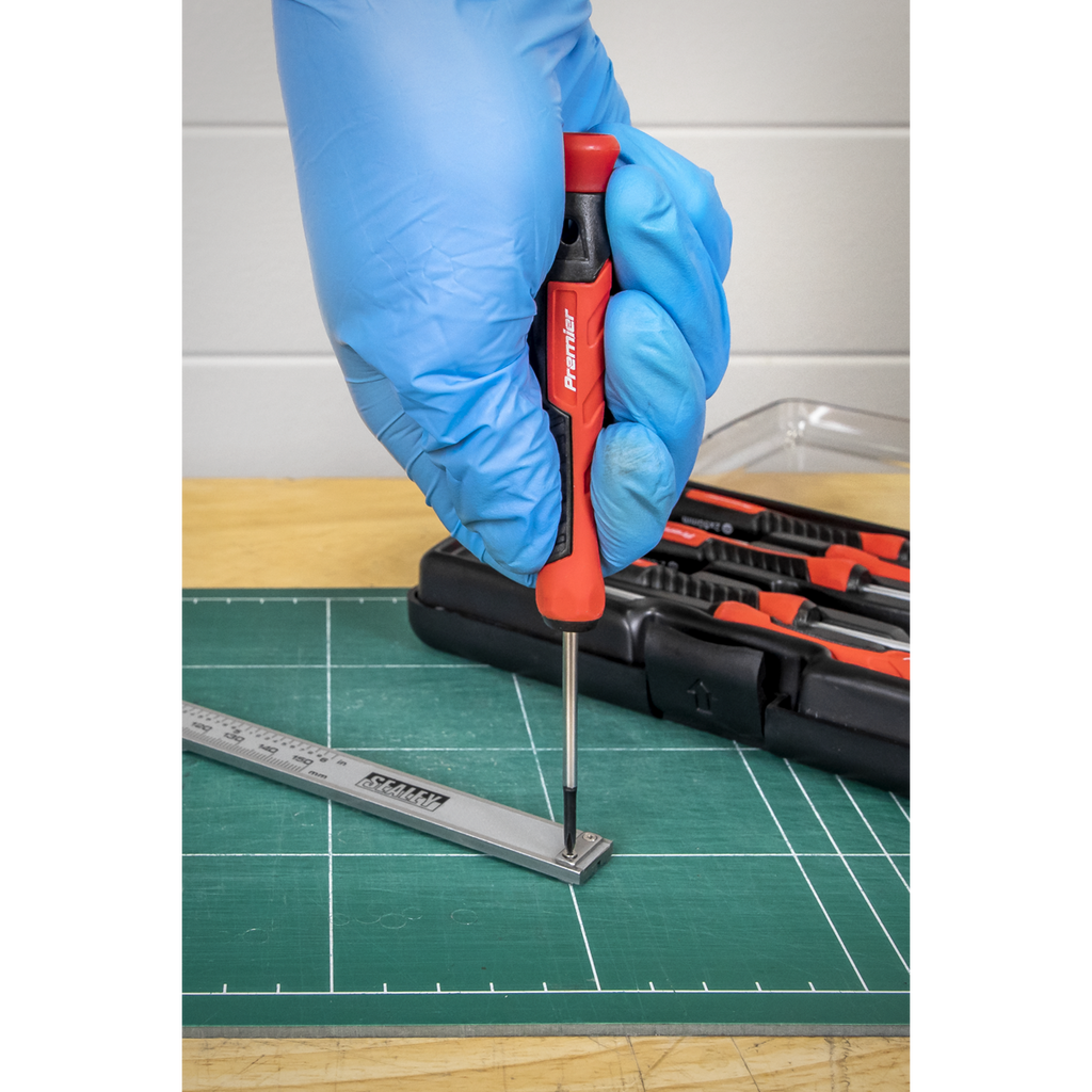 Premier Precision Screwdriver Set 6pc
